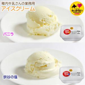 ふるさと納税 稚内市 【 業務用 】 稚内牛乳 アイスクリーム 2L×2個 ( バニラ &amp; 宗谷の塩...