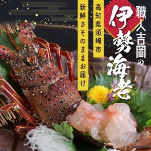 ふるさと納税 須崎市 【 数量限定 】 訳あり 冷凍 伊勢海老 1〜2匹 (400g〜500g)