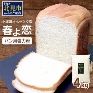 ふるさと納税 北見市 【北海道オホーツク産】パン用小麦粉(強力粉)　春よ恋　4kg