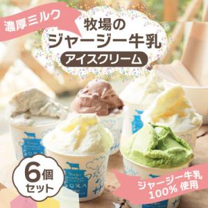 ふるさと納税 京丹後市 丹後ジャージー牧場直送!搾りたてジャージー牛乳から作る濃厚ミルクのジャージー...