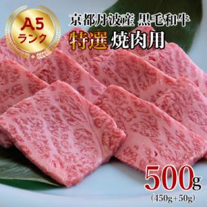 ふるさと納税 亀岡市 京の肉ひら山厳選 特選A5 京都産黒毛和牛 焼肉用 500g