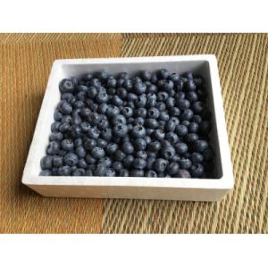 ふるさと納税 能登町 【産地直送】能登の完熟新鮮ブルーベリー約1kg