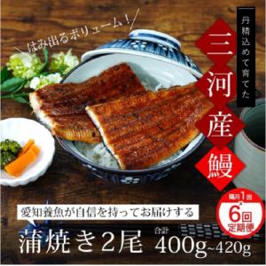 ふるさと納税 西尾市 【定期便】三河産うなぎ「超特大蒲焼き2尾」×6回(隔月1回　1年間)・A133-108