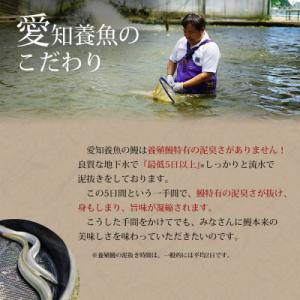ふるさと納税 西尾市 【定期便】三河産うなぎ「...の詳細画像2
