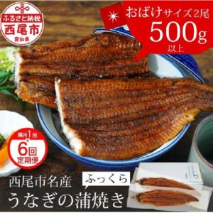 ふるさと納税 西尾市 【定期便】三河産うなぎ「超おばけ蒲焼き2尾」×6回(隔月1回　1年間)・A134-120