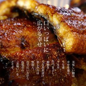 ふるさと納税 西尾市 【定期便】三河産うなぎ「...の詳細画像1