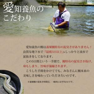 ふるさと納税 西尾市 【定期便】三河産うなぎ「...の詳細画像2