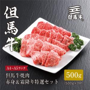 ふるさと納税 養父市 【但馬牛】焼肉 赤身&amp;霜降り 特選セット500g