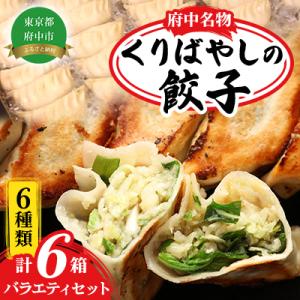 ふるさと納税 府中市 手造り餃子くりばやしの【餃子6種類セット】(各1箱ずつ)