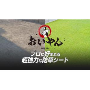 ふるさと納税 橋本市 ガーデニングや庭の景観改善に使用　雑草を防ぎ草抜き作業を軽減　青々とした夏の人...