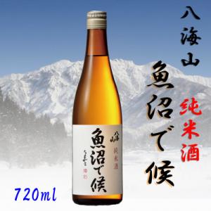 ふるさと納税 南魚沼市 【魚沼地域限定】純米酒 八海山「魚沼で候」720ml×1本