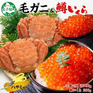 ふるさと納税 弟子屈町 【のし付】毛蟹 2尾 700g 鱒いくら醤油漬け 200g 蟹ハサミガイド 北海道 弟子屈 3629