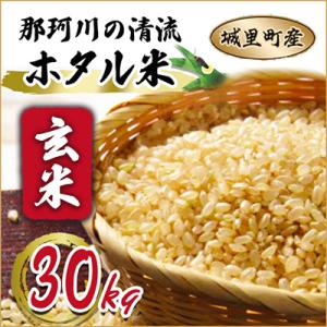 ふるさと納税 城里町 那珂川の清流ホタル米　玄米30kg 検査1等米令和7年産コシヒカリ　(玄米)「関東地方配送限定」特A