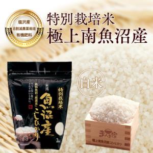 ふるさと納税 南魚沼市 【7年産】特別栽培米「南魚沼産コシヒカリ」(栽培期間中農薬節減・化学肥料不使用)白米4kg