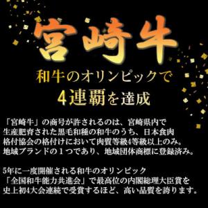 ふるさと納税 宮崎市 内閣総理大臣賞4連覇 宮...の詳細画像1