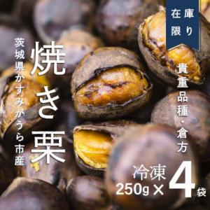 ふるさと納税 かすみがうら市 【訳あり増量】2...の詳細画像3