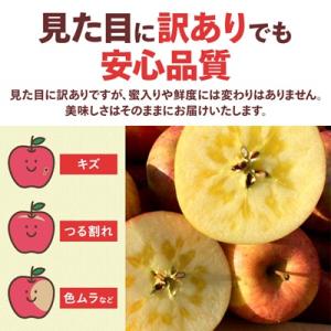 ふるさと納税 青森市 【訳あり】青森県産りんご...の詳細画像2