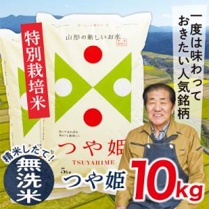 ふるさと納税 最上町 【無洗米】令和7年産山形県産特別栽培米　つや姫10kg