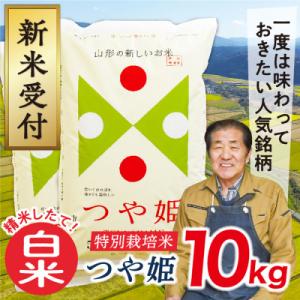 ふるさと納税 最上町 【令和8年産先行受付】山形県産特別栽培米つや姫10kg(白米)