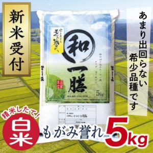 ふるさと納税 最上町 【令和8年産先行受付】山形県産もがみ誉れ5kg(白米)