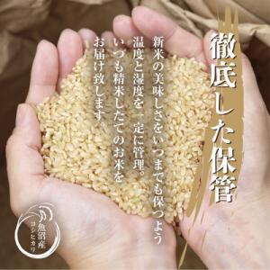 ふるさと納税 十日町市 無洗米 魚沼産 コシヒ...の詳細画像3