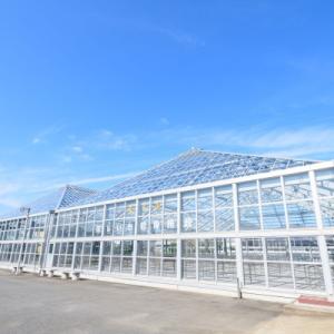 ふるさと納税 ひたちなか市 百年干しいも焼酎 ...の詳細画像2