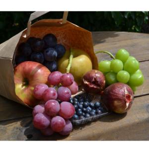 ふるさと納税 三次市 季節の果物狩り　体験チケット(2名様分)