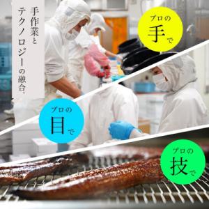 ふるさと納税 西尾市 愛知県三河一色産うなぎ蒲...の詳細画像1
