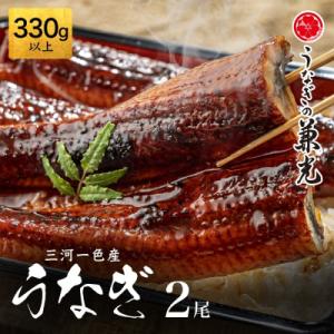 ふるさと納税 西尾市 三河一色産鰻蒲焼大サイズ2...の商品画像