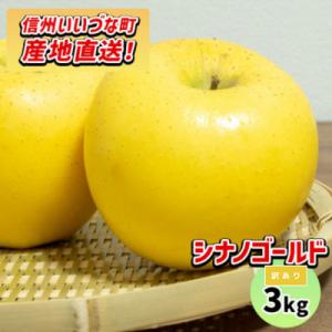 ふるさと納税 飯綱町 【訳あり】 りんご シナノゴールド 10月下旬より順次発送 3kg