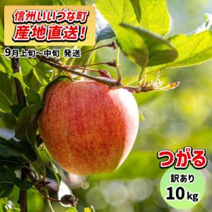 ふるさと納税 飯綱町 【訳あり】 りんご つがる 9月上旬~9月中旬 10kg