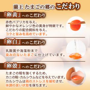 ふるさと納税 日出町 蘭王たまご 10個入り3...の詳細画像2