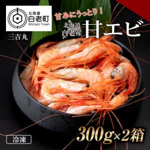 ふるさと納税 白老町 甘みにうっとり!冷凍甘エビ(300g×2箱)