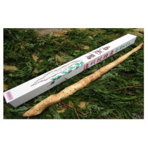 ふるさと納税 清川村 清川村特産　きよかわ自然薯800(約800g)本数おまかせ