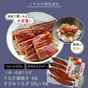 ふるさと納税 西尾市 三河一色産鰻蒲焼4尾+き...の詳細画像3