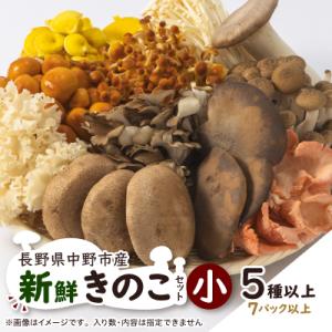 ふるさと納税 中野市 キノコでカラダを整える!新鮮きのこ詰め合わせ 小(5種類以上/7パック以上)