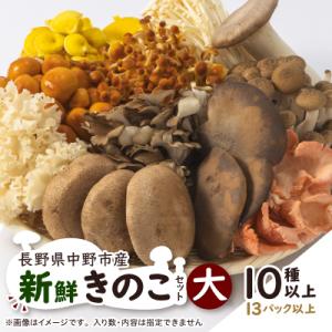 ふるさと納税 中野市 キノコでカラダを整える!新鮮おいしいきのこセット大(10種以上を13パック以上...