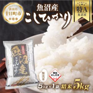 ふるさと納税 十日町市 【無地熨斗】無洗米 魚沼産 コシヒカリ 5kg (美味しい炊き方ガイド付き)