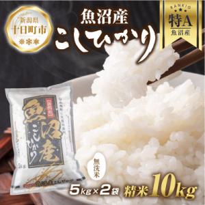 ふるさと納税 十日町市 無洗米 魚沼産 コシヒカ...の商品画像