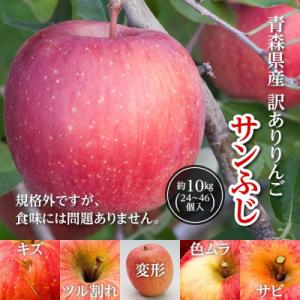 ふるさと納税 黒石市 今年も約10kgお届けし...の詳細画像1