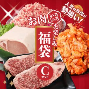 ふるさと納税 木城町 福袋 木城町 お肉いろいろお楽しみセットC