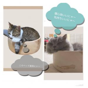 ふるさと納税 南木曽町 猫ちゃんのまん丸ベッドの詳細画像2