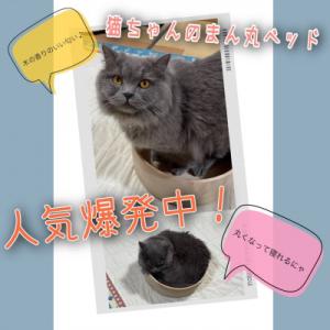 ふるさと納税 南木曽町 猫ちゃんのまん丸ベッドの詳細画像3