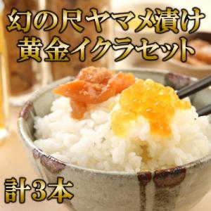 ふるさと納税 三股町 【テレビで紹介されました!】【先行受付】幻の尺ヤマメ漬け黄金イクラセット【A-...