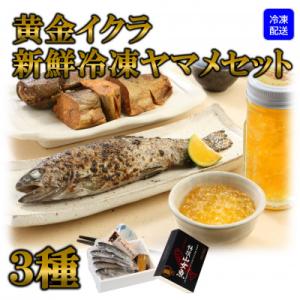 ふるさと納税 三股町 【テレビで紹介されました!】【先行受付】黄金イクラと新鮮冷凍ヤマメセット【A-...
