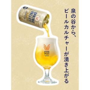 ふるさと納税 取手市 キリン スプリングバレー・...の商品画像