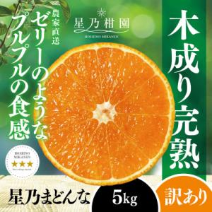 ふるさと納税 愛南町 【紅まどんな と同品種】【訳あり】みかん職人の