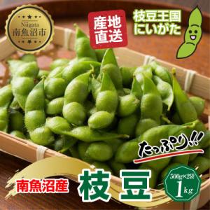 ふるさと納税 南魚沼市 【先行受付】令和8年産 枝豆 1kg (500g×2袋) 新潟県 南魚沼市