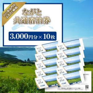 ふるさと納税 長門市 ながと共通宿泊券3,000円分×10枚