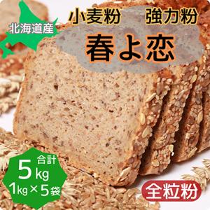 ふるさと納税 深川市 北海道産小麦　春よ恋(強力粉)　全粒粉　5kg (1kg×5袋)